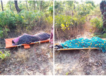 Explosão de mina faz dois mortos e um ferido grave no Bié