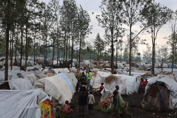 RDCongo atinge recorde de 6,9 milhões de pessoas deslocadas devido aos conflitos
