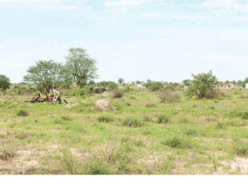 Mais de 2 mil famílias beneficiam de terras para agricultura no Namibe