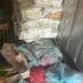 Apreendidas mais de 60 caixas de carne podre em Malanje