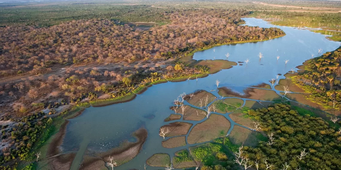 Investidor internacional reconhece potencialidades no Okavango