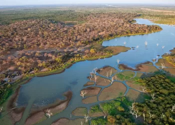 Investidor internacional reconhece potencialidades no Okavango