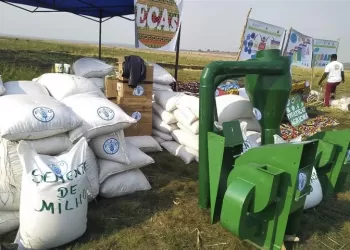 Preços de sementes sobem em véspera do novo ano agrícola no Moxico