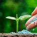 Fábrica de fertilizantes pode travar a importação da matéria-prima