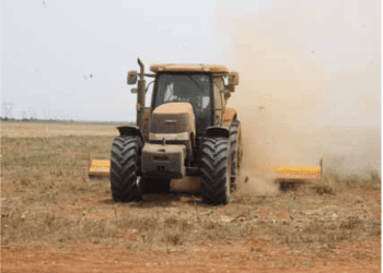 Malanje regista aumento na produção agrícola
