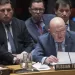 Rússia questiona EUA no CSNU sobre posição contrária ao cessar-fogo em Gaza, mas fica sem resposta