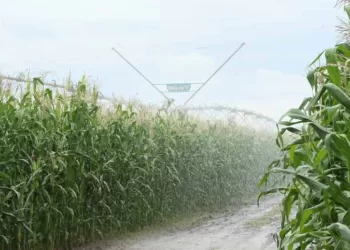 Desenvolvimento da agricultura ganha impulso de três instituições