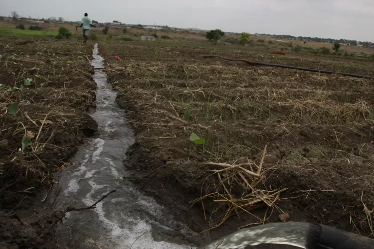Lunda Sul disponibiliza 500 mil hectares para o PLANAGRÃO