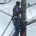 Carta do leitor: O furto não nos leva a algum lado…