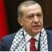 Erdogan quer salvar palestinianos da alegada “opressão de Israel”