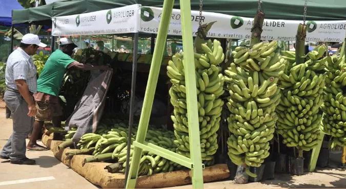 Angola expõe potencialidades na feira Agro-dinâmica do Paraguai