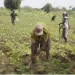 FACRA vai financiar cinco projectos da cadeia de logística em Benguela