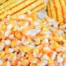 Angola com produção de três milhões de toneladas de cereais