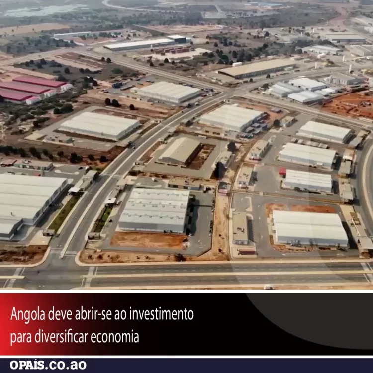 Angola deve abrir-se ao investimento para diversificar economia