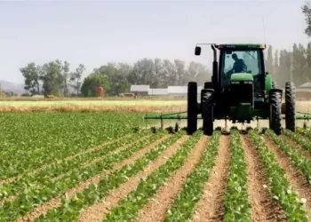 Pequenos empresários no Zaire com Kz 88 mil milhões em garantias públicas
