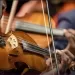 Músicas clássicas internacionais encerram temporada do “Concerto de Cordas” no MAAN