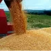 REA vai adquirir toda a produção nacional de grãos