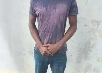 Jovem acusado de embebedar e violar a sogra
