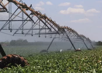 Agrónomos defendem transferência sustentável dos perímetros irrigados para gestão dos Governos Provinciais
