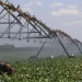 Agrónomos defendem transferência sustentável dos perímetros irrigados para gestão dos Governos Provinciais