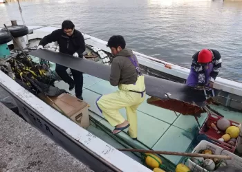 Cinco corpos encontrados no mar após acidente de avião americano no Japão