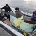 Cinco corpos encontrados no mar após acidente de avião americano no Japão