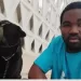 Especialista chama atenção sobre o perigo em enjaular os cães