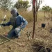 Removidas 456 minas de morteiro na Huíla