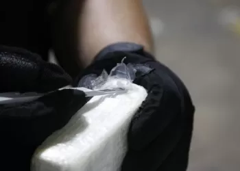 Polícia sul-africana  apreende 7,4 milhões de euros de cocaína no porto de Durban