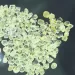 SIC frustra tráfico ilícito de diamantes