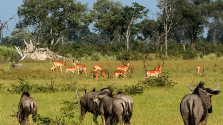 Angola entre as melhores áreas para investimento do ecoturismo, afirma  gestor da ANAGERO