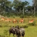 Angola entre as melhores áreas para investimento do ecoturismo, afirma gestor da ANAGERO