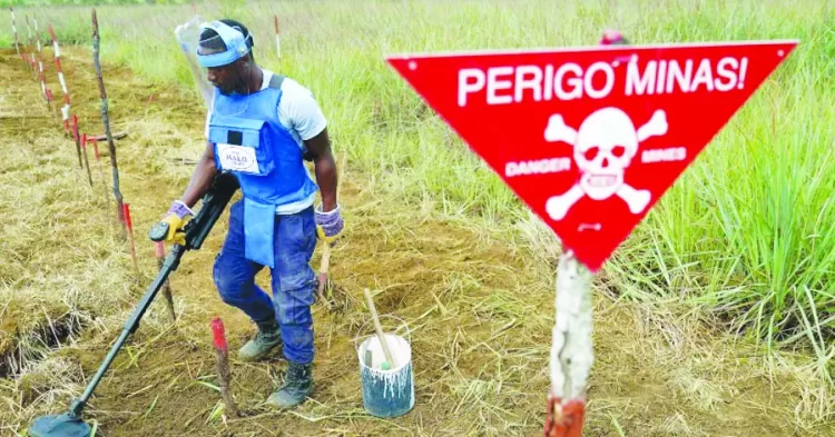 Projecto de electrificação do Triângulo – desminagem na recta final