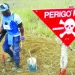 Projecto de electrificação do Triângulo – desminagem na recta final
