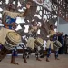 Actividades múltiplas marcam celebração do dia da cultura nacional