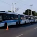 Transportes públicos no Lubango reforçados com 18 novos autocarros