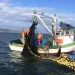 Engenheiro clama por centro de instrução de navegação para pescadores artesanais