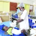 Huambo com menos óbitos por malária
