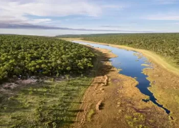 Bacia do Okavango fornece água a mais de um milhão de pessoas