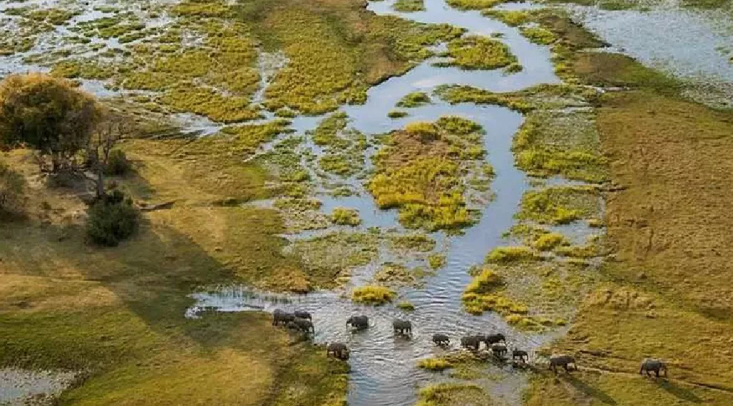Implementação do Projecto Angolano do Okavango conta com 132 milhões de dólares