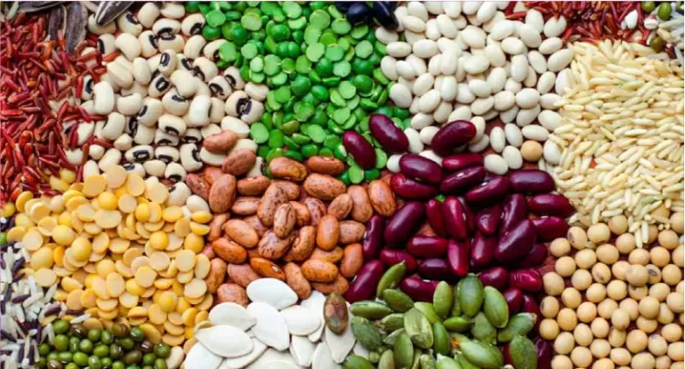 País trava “importação” de pragas em sementeiras e Investigação Agronómica adverte compradores