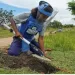 Províncias da Huíla e Namibe registam sete mortes provocadas por minas em 2023