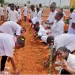 Governo de Luanda “ressuscita” programa de horta escolar