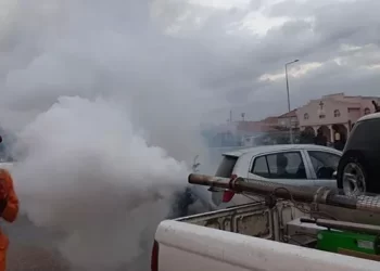 Especialista apela munícipes a receber equipas de fumigação