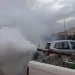 Especialista apela munícipes a receber equipas de fumigação