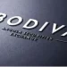 BODIVA tem primeira petrolífera a vender acções