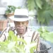 SANGUITO: “Tanto eu como o Nanutu somos os persistentes da música instrumental em Angola”