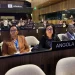 Angola participa na sessão para protecção das expressões culturais