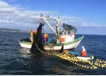Pesca ilegal causa prejuízo de USD  23,5 mil milhões/ano na SADC