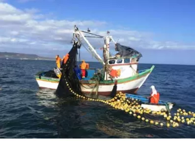 Pesca ilegal causa prejuízo de USD 23,5 mil milhões/ano na SADC